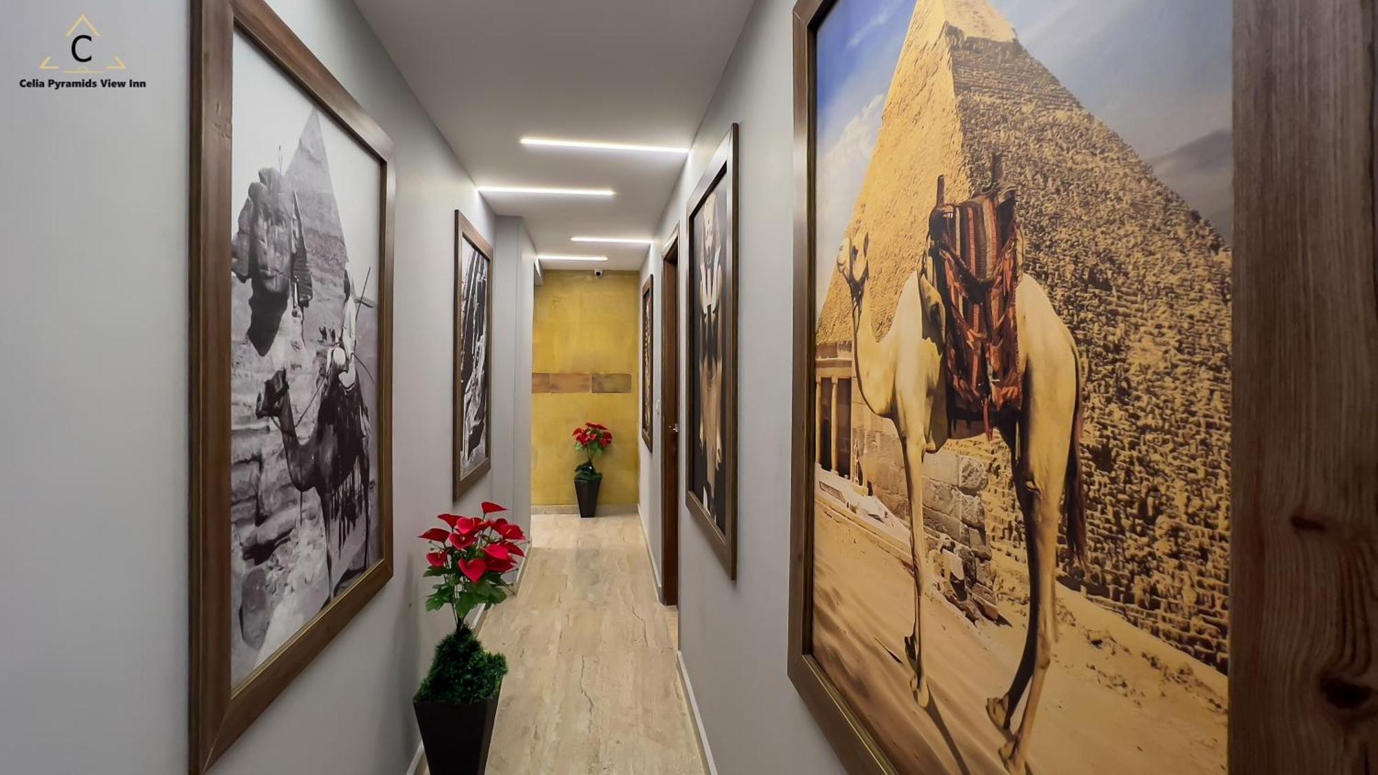 Celia Pyramids View Inn Nazlet el-Sisi Экстерьер фото